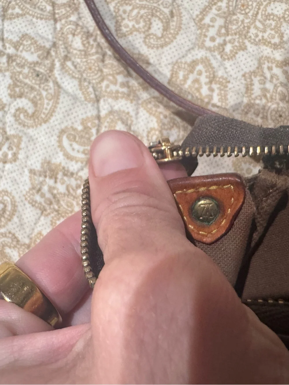 Louis Vuitton Eva Pochette
